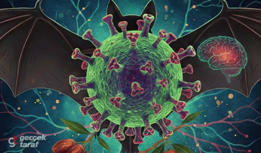 Ölüm Oranı %75'e Varan Nipah Virüsü! İşte Dünyanın Yeni Kabusu