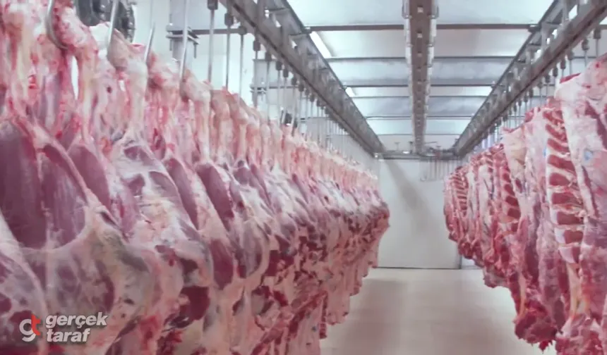 Samsun'da Et Entegre Tesisi Kuruluyor, Et Fiyatları Düşecek