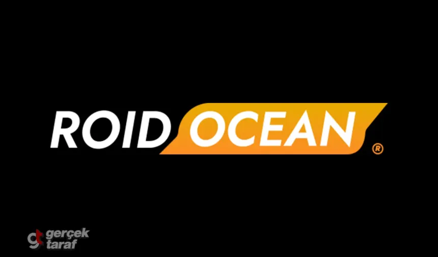 Roidocean vs Roidocean: Why This Platform Stands Out in a Crowded Market