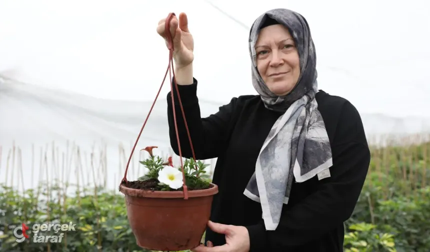 Samsun'da Ev Hanımından Sera Sahibine: Aylık 100 Bin TL Gelir