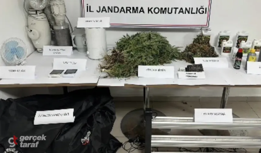 Samsun'da Evde Kenevir Yetiştiren Şahsa Operasyon Yapıldı