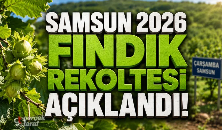 Samsun'da 2026 Yılı Fındık Rekolte Tahmini Belli Oldu!