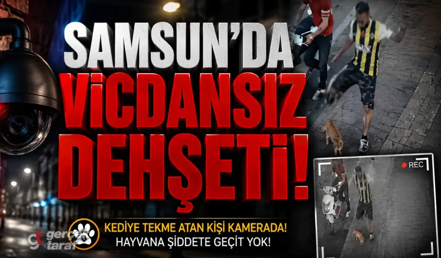 Samsun'da İnsanlık Öldü! Kaldırımdaki Savunmasız Kediye Acımasızca Tekme Atan Cani Kameralarda!