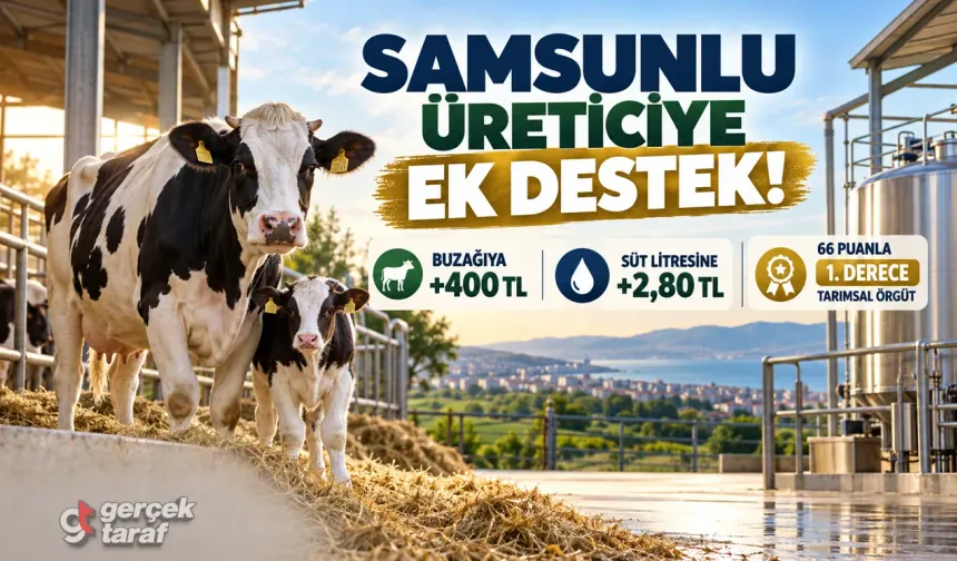 Samsunlu üreticilere buzağı ve süt desteği müjdesi!