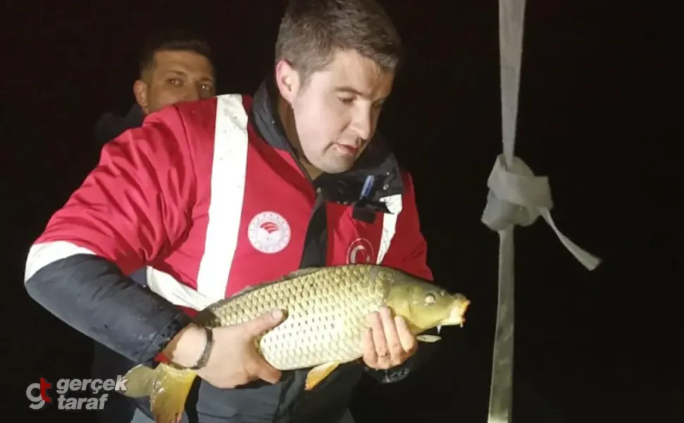 Altınkaya Baraj Gölü'nde 600 Metrelik Kaçak Ağ Ele Geçirildi