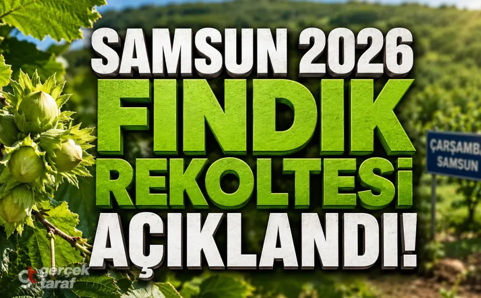 Samsun'da 2026 Yılı Fındık Rekolte Tahmini Belli Oldu!