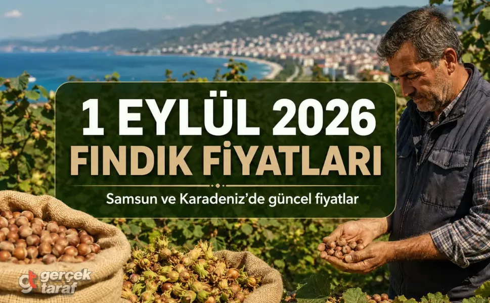 1 Eylül 2026 Salı bugün güncel fındık fiyatları ne kadar?