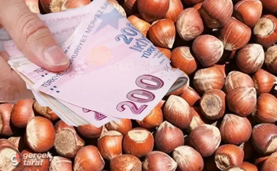 29 Ağustos Cumartesi Samsun fındık fiyatları ne kadar?