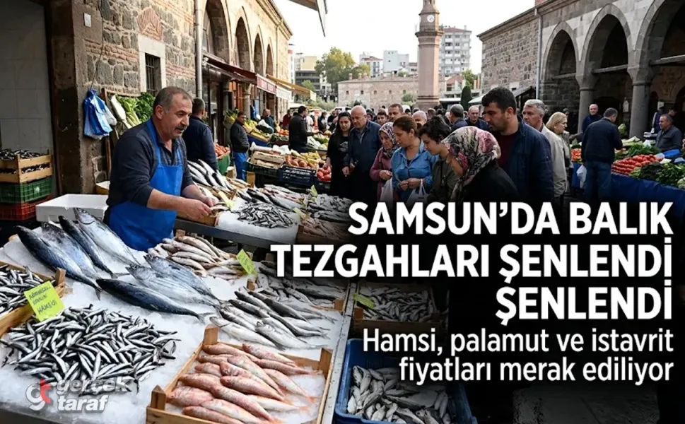 Samsun Balık Fiyatları 2026, Hamsi ve Palamut Kaç TL?