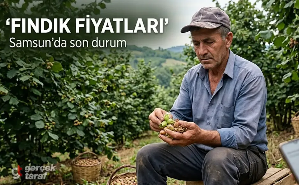3, 4 Ağustos’ta Samsun’da fındık fiyatları ne kadar oldu?