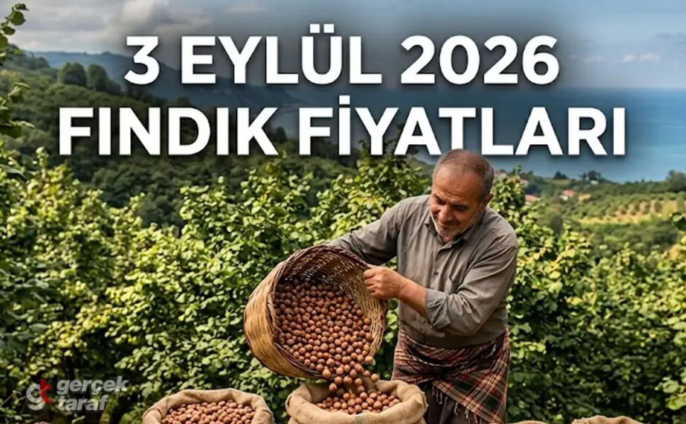 3 Eylül 2026 Perşembe Bugün Güncel Fındık Fiyatları Ne Kadar?