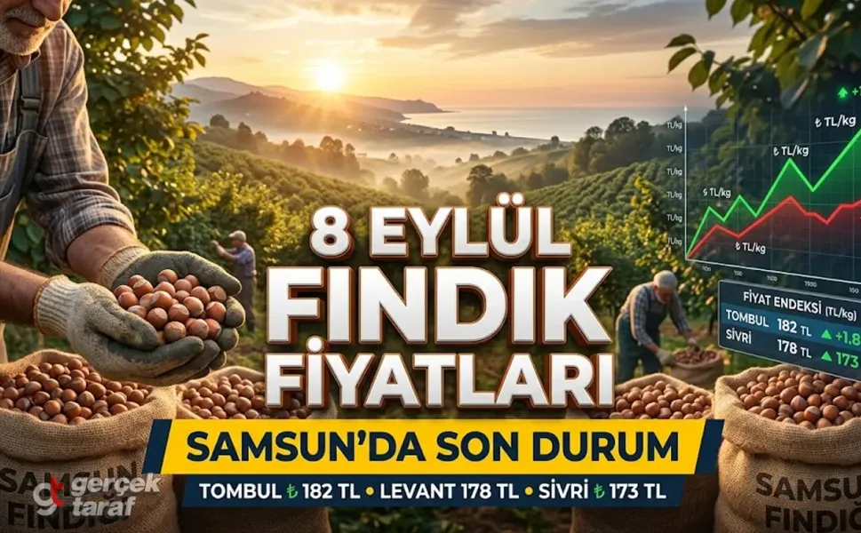 8 Eylül 2026 Salı güncel fındık fiyatları