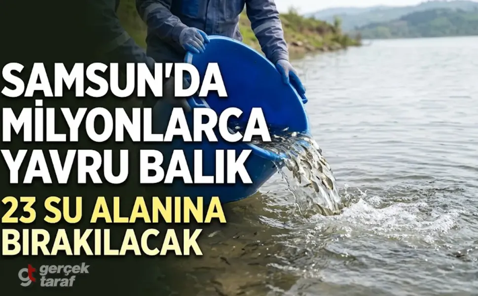 Samsun’da 23 Su Alanına 2 Milyon 412 Bin Yavru Sazan