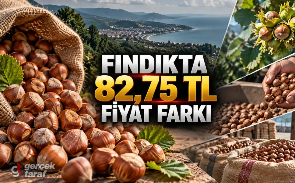 26 Ekim fındık fiyatları: Samsun'da TMO ile 82,75 TL fark
