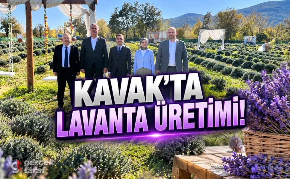 Samsun'da Kadın Girişimcinin Lavanta Bahçesi İncelendi