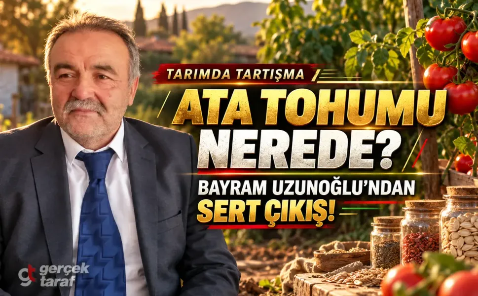 Samsun'dan ata tohumu isyanı! Çocukluğumuzun domatesleri nereye kayboldu?