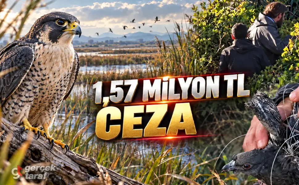 Samsun'da Gökdoğan Avlayanlara 1,57 Milyon TL Ceza