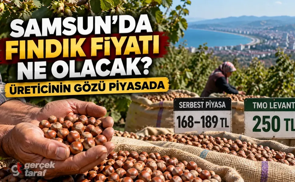 Samsun Fındık Fiyatları 5 Ekim 2026: Fiyat Artacak mı?