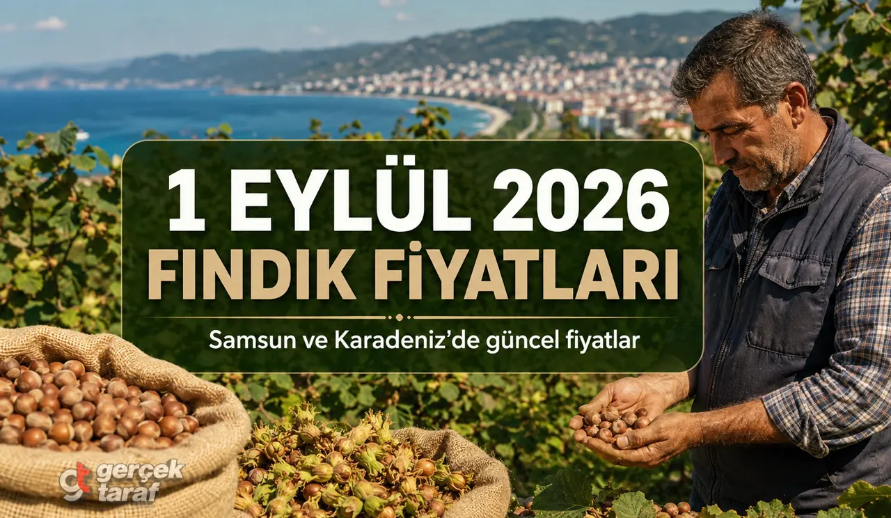 1 Eylül 2026 Salı bugün güncel fındık fiyatları ne kadar?