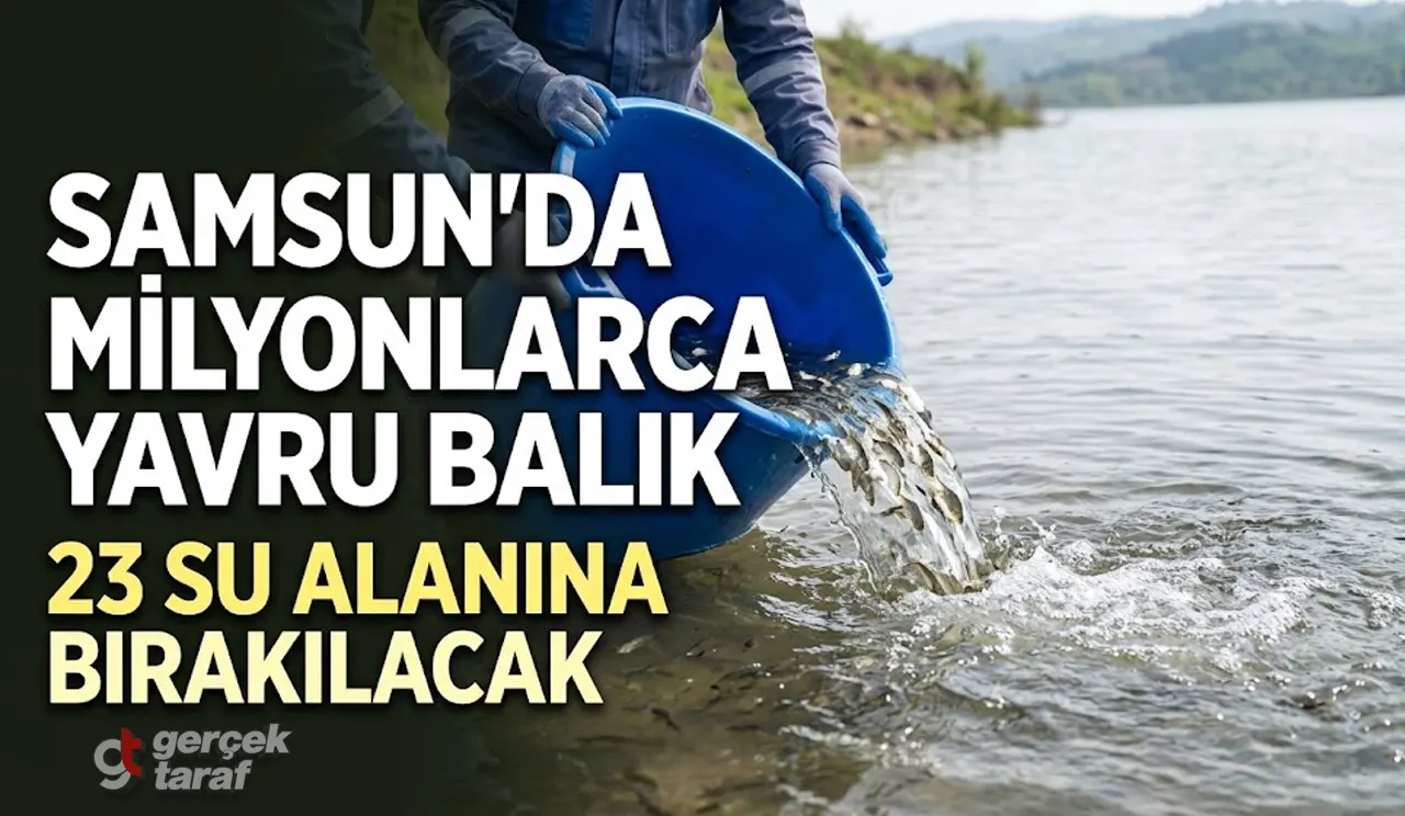 Samsun’da 23 Su Alanına 2 Milyon 412 Bin Yavru Sazan